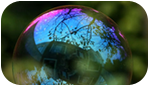 Science Buddies Helps Scientific American Bring Science Home