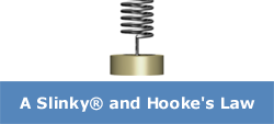 Hooke's Law