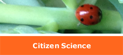 Citizen Science