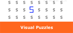 Visual Puzzles