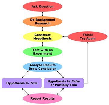 procedure  for science fair