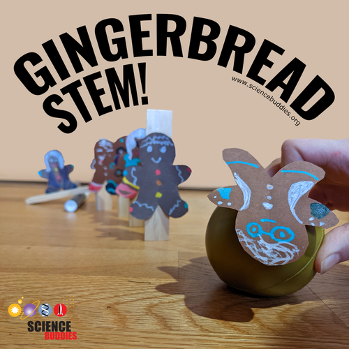 Rube Goldberg example for Gingerbread STEM at Science Buddies