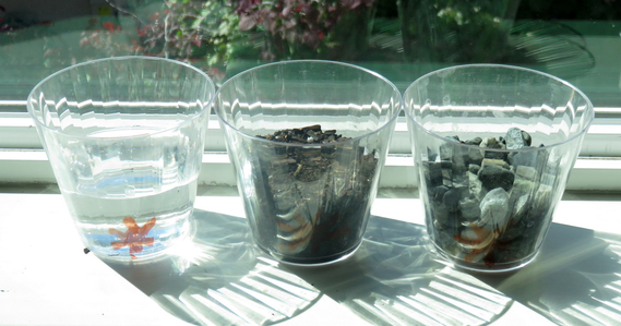 Three jars in the sunlight, each with a different material to see how they warm up