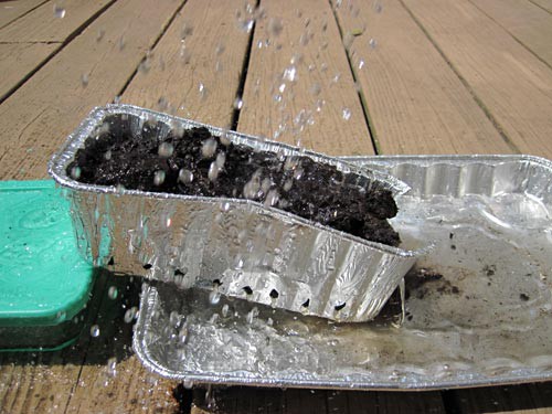Water droplets fall over an aluminum bread pan filled with soil that has been placed on an incline