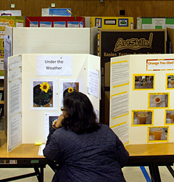 Science Buddies staff helped judge the Bayside STEM Academy science fair