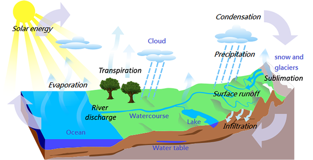  Schematic that shows the different process of the water cycle.  