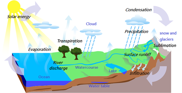 Schematic that shows the different process of the water cycle.