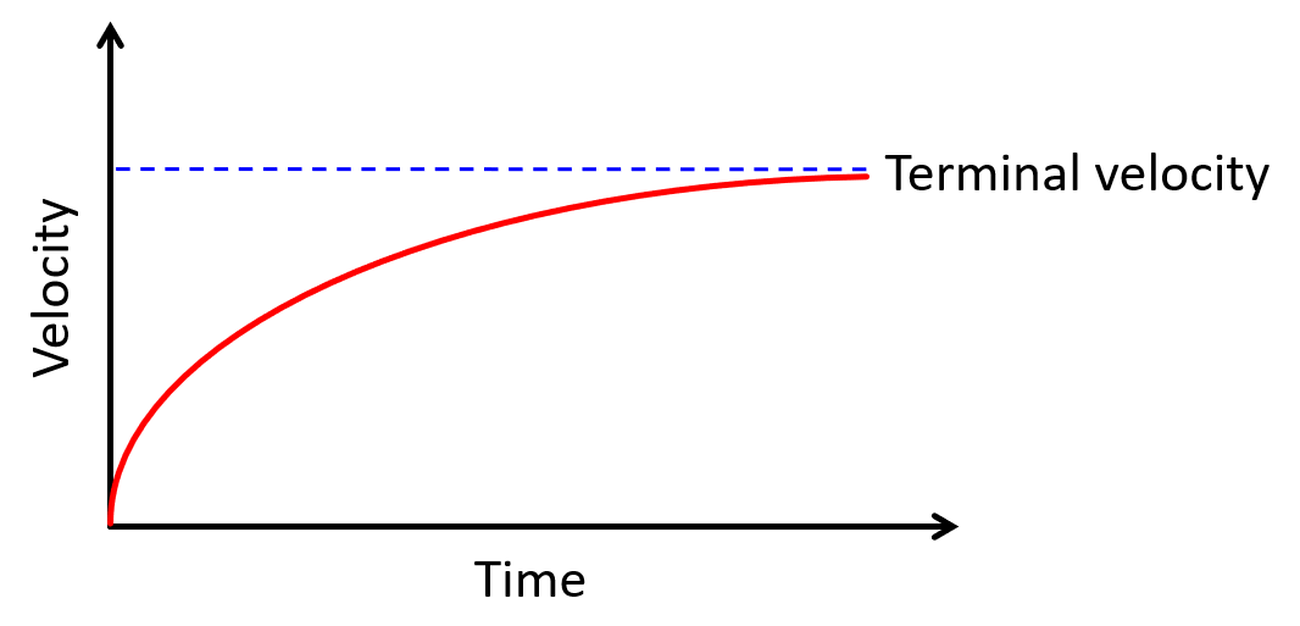 Number of Parachutes and Terminal Velocity | Science Project