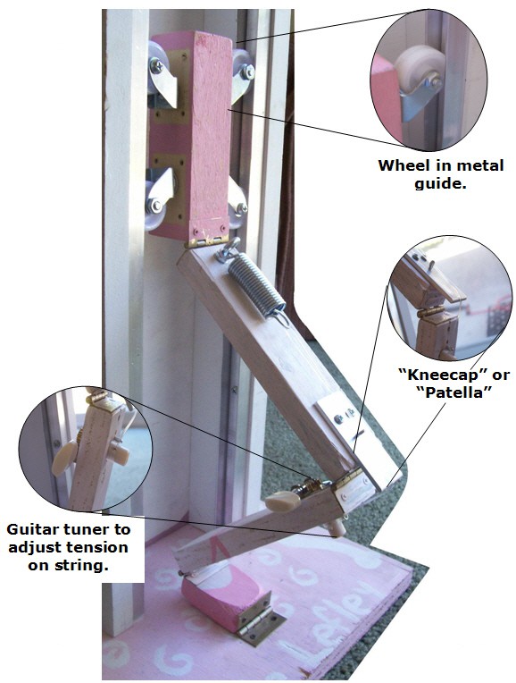 A model leg is made from wooden planks, hinges, a spring, string and a guitar tuner