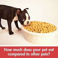 2014-blog-pet-science-dog-food.png