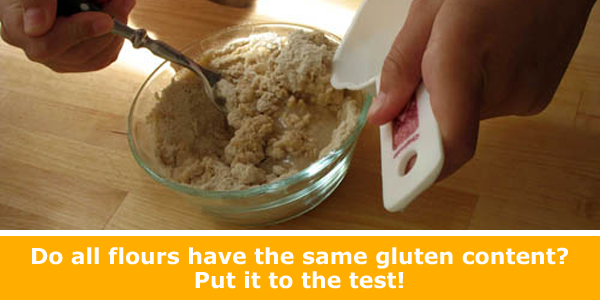Explore the science of gluten in baking / Hand-on STEM experiment