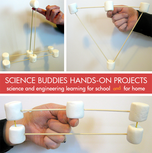 Weekly Science Activity Spotlight / Balance Anything Marshamallows Physics Science Project