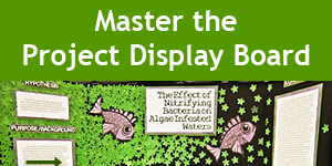 Mastering the Project Display Board