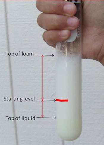Analyzing the after affects of shaking the milk in a sealed container