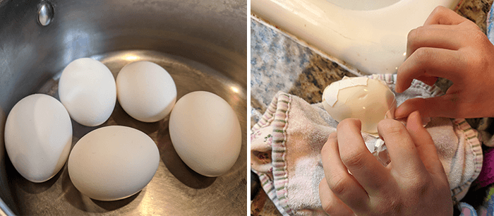 Eggs in a pan ready to boil and student peeling hard-boiled egg