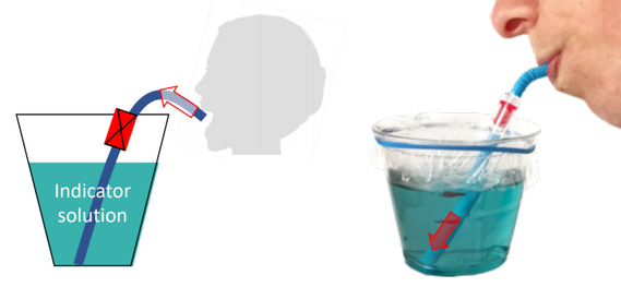 Diagram and image showing the setup for experiment with cup with colored water, covered top, and straw