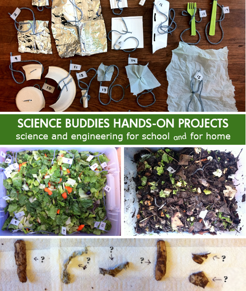 Weekly Science Activity Spotlight / decomposing objects Science Project for School or Family Science