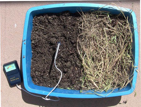 A moisture probe is inserted into a pile of soil in a plastic container