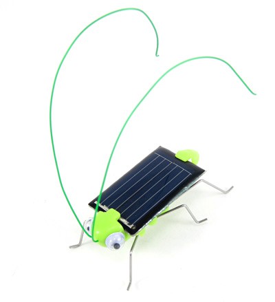Solar powered bug top