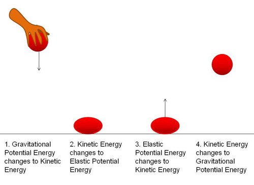 Diagram shows energy state changes in a ball that is dropped and bounces back off the floor