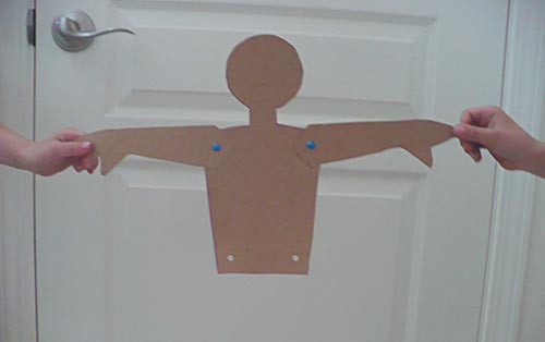 Pulling the arms in opposite directions away from the core is not a scientific way to determine the strength of the paper doll.
