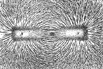 drawing of field lines magnetic field from iron filings 