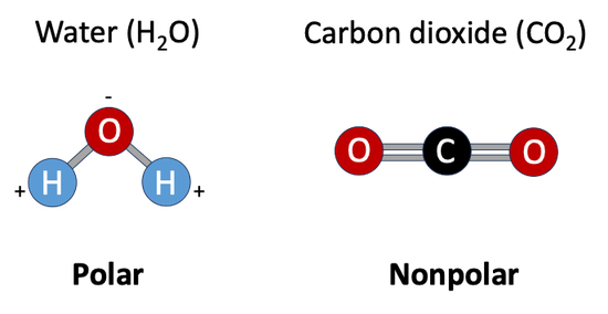 Left: A schematic diagram of a water molecule.  Right: A schematic diagram of a carbon dioxide molecule 