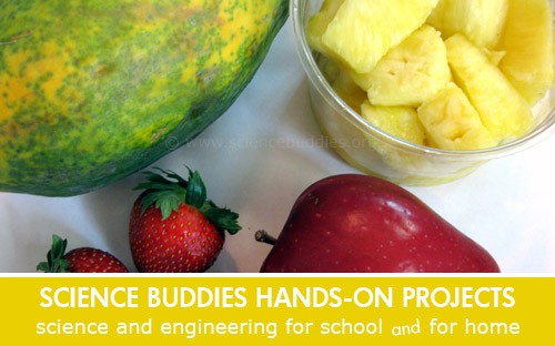 Weekly Science Activity Spotlight / Fruit and Gelatin Hands-on Science Project for School or Family Science