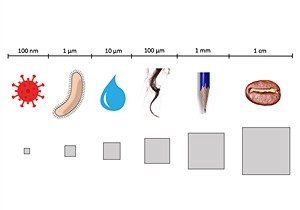 Relative sizes of different objects such as a virus, bacteria, mist water droplet, strand of hair, pencil tip and a coffee bean on a logarithmic scale from 100 nanometers to 1 centimeter. 