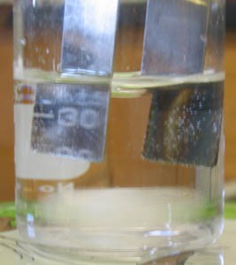 tiny bubbles are covering the two nickel electrodes