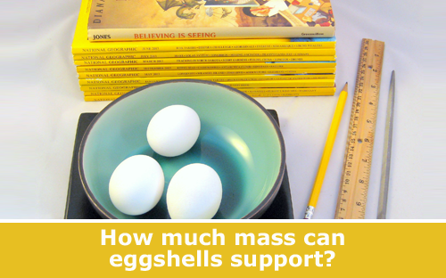 Materials Sciences project to test the strength of eggshells and arches / Hands-on science STEM experiment