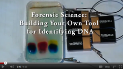 summerfellows-video-forensics.png