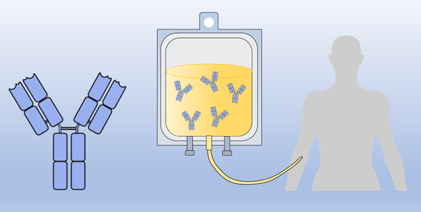 Drawings of a y-shaped antibody and an infusion bag containing antibodies. 
