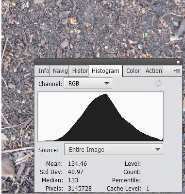 Distribution of average light intensity for a picture of dirt 