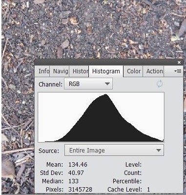 Distribution of average light intensity for a picture of dirt