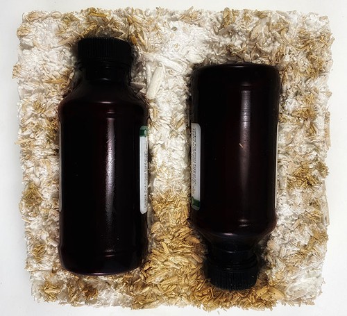 Two bottles that fit perfectly into mushroom material.