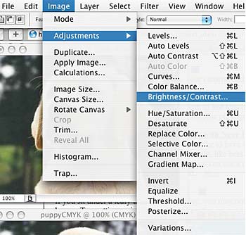 Screenshot of the image menu drop-down in the program Photoshop