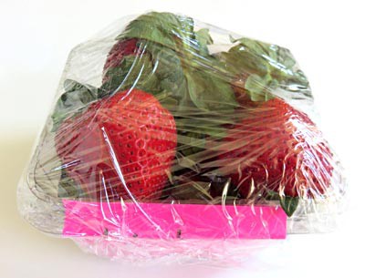 Plastic wrap covers a container filled with strawberries