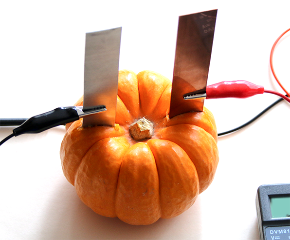 Small pumpkin in a circuit to explore veggie power