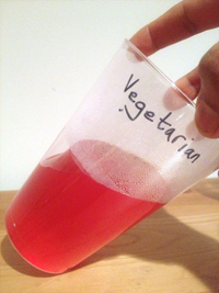 Student experiment with vegetarian gelatin and fruit
