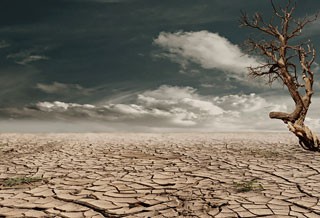 Photo of a barren desert