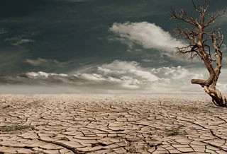Photo of a barren desert
