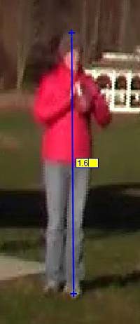 Screenshot of a man overlaid with a blue line used to scale the video pixels to real-world distance