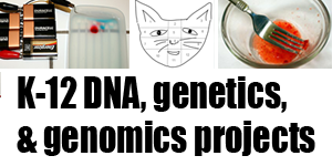 Student Science for DNA Day / K-12 STEM projects about genetics, genomics, and DNA