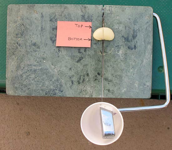 A cheese slicer rests in a groove on a cutting board ready to slice through a cooked bean