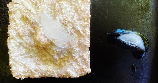 A mycelium composite panel placed on top of a black griddle surface. One ice cube rests on the mycelium composite and one on the black griddle.