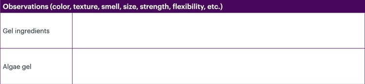 Thumbnail of Step 5 on Student Data Sheet