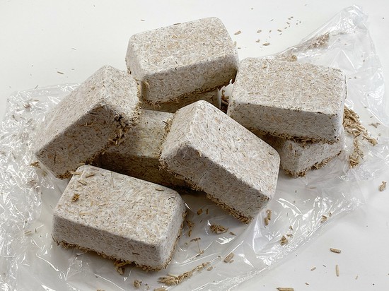 Picture of a stack of mycelium composite bricks. The bricks have the shape and dimensions of mini-loaf cakes. 