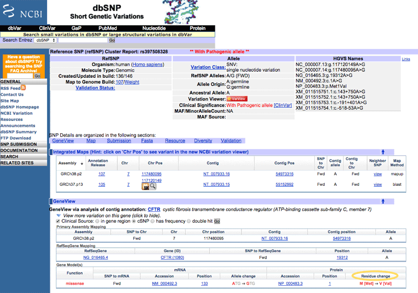 Screenshot of an information page for an allele variation in the SNP database on the ncbi.nlm.nih.gov website