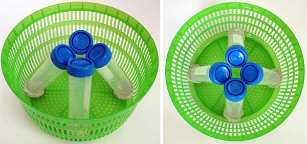 Four tubes are arrange in a salad spinners bowl equally spaced apart with caps touching over the center